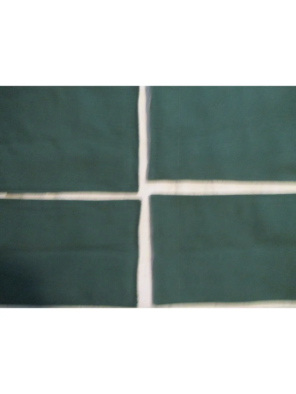 Set of 4 Vintage Vegetable Patterned Placemats with Green Backing